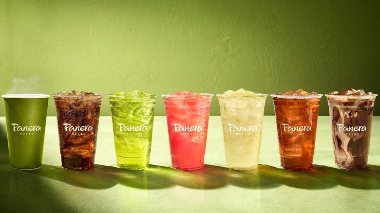 Several cups of Panera drinks lined up on a counter.