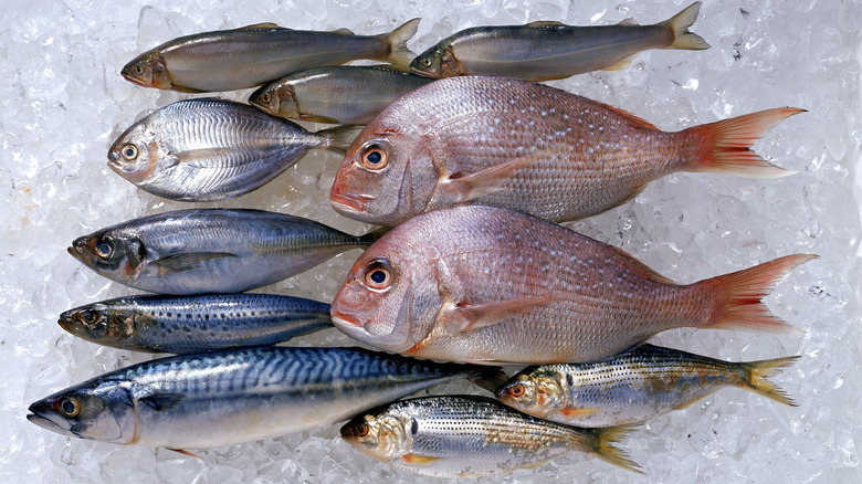 Frozen fish on a bed of ice