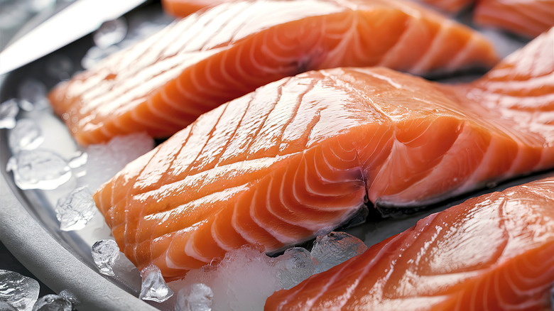 Three salmon filets arranged on a bed of ice