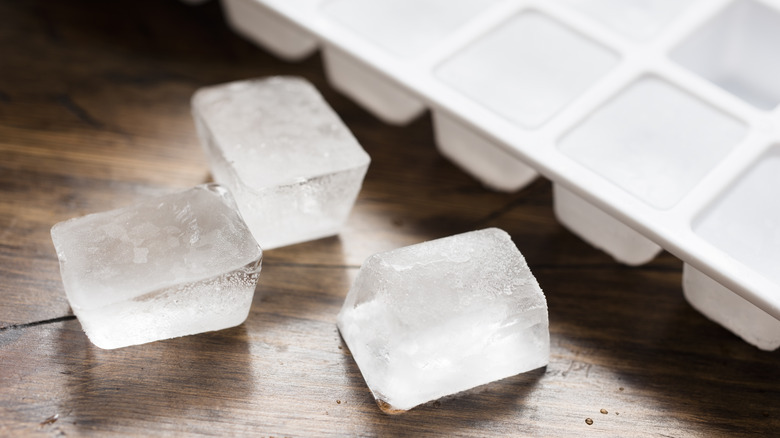 Ice cubes next to a tray