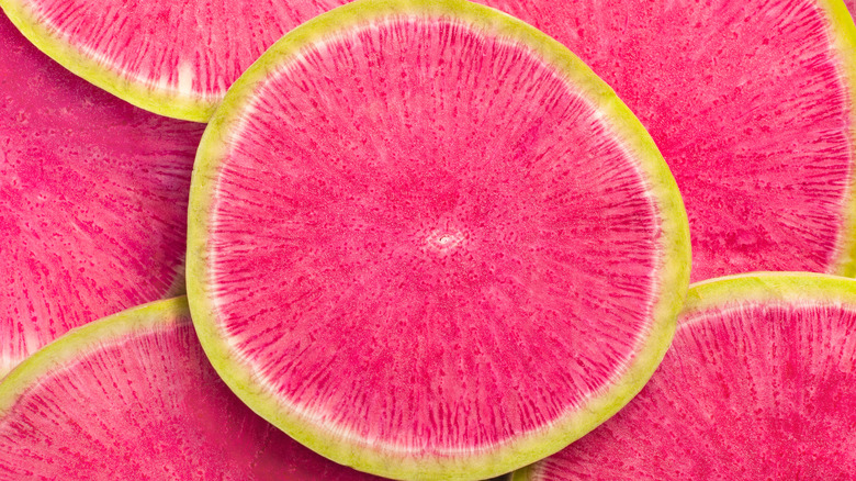Vibrant slices of watermelon radish
