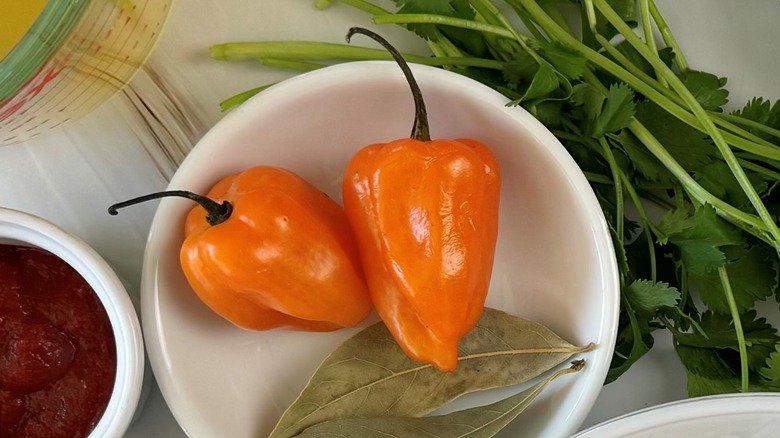 habanero peppers in white bowl