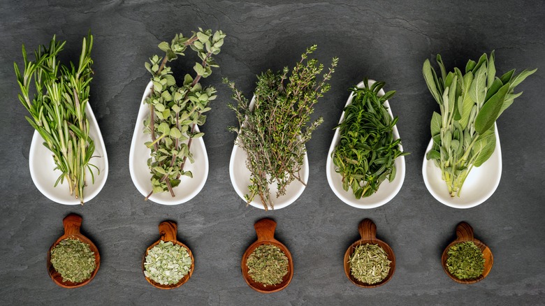 fresh and dry herbs in dishes, such as rosemary and thyme, on a gray background