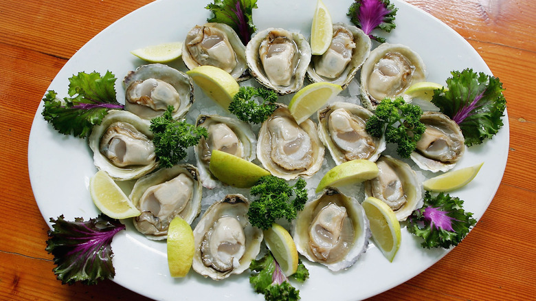 Plate of Bluff oysters