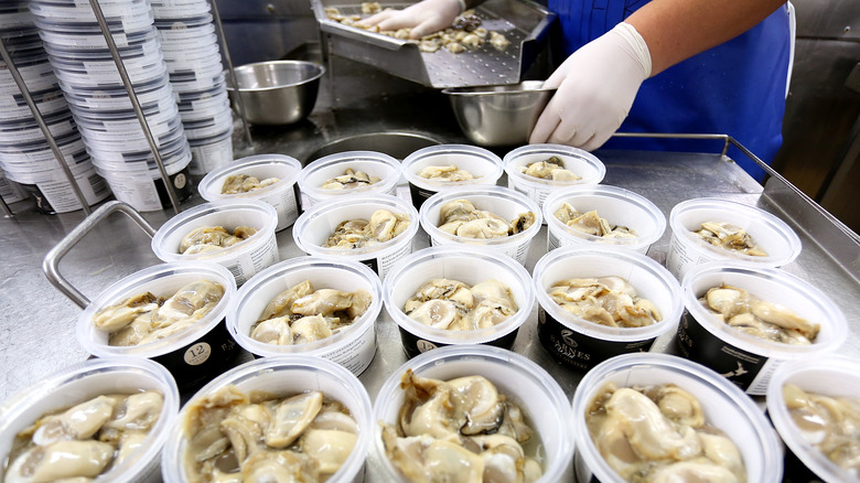 Bluff oysters packaging in containers