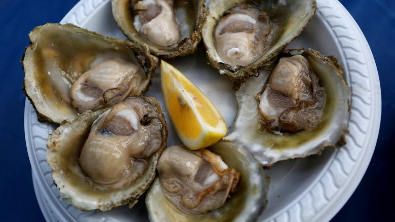 Bluff oysters and lemon wedge