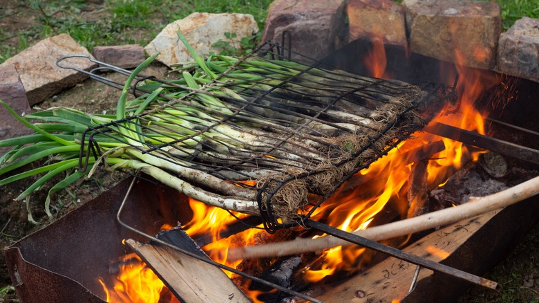 calçots roasted on open fire