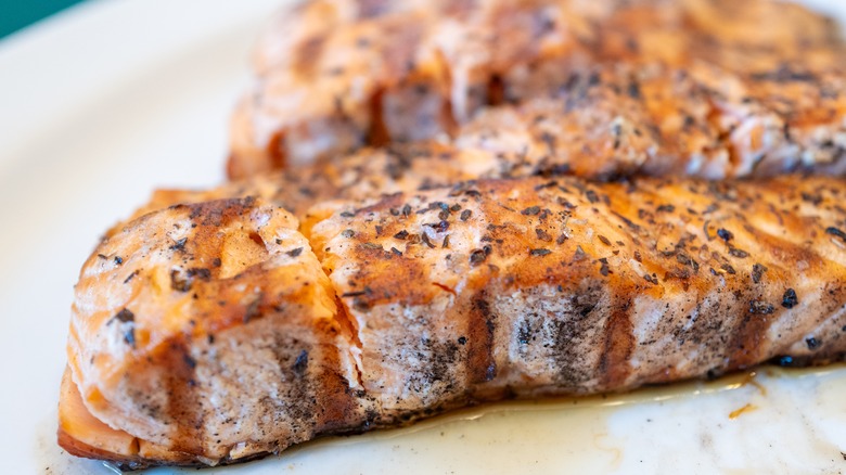 Close-up of grilled salmon