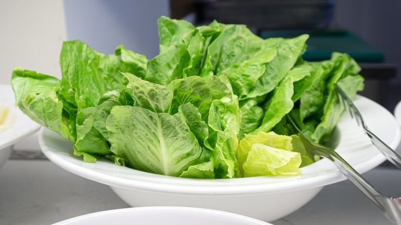 Leaves of romaine lettuce in a white bowl with tongs resting on the rim