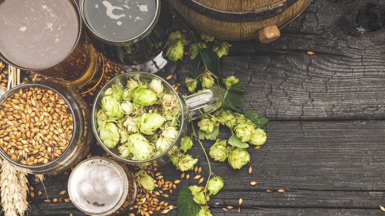 Hops, grains, and beer