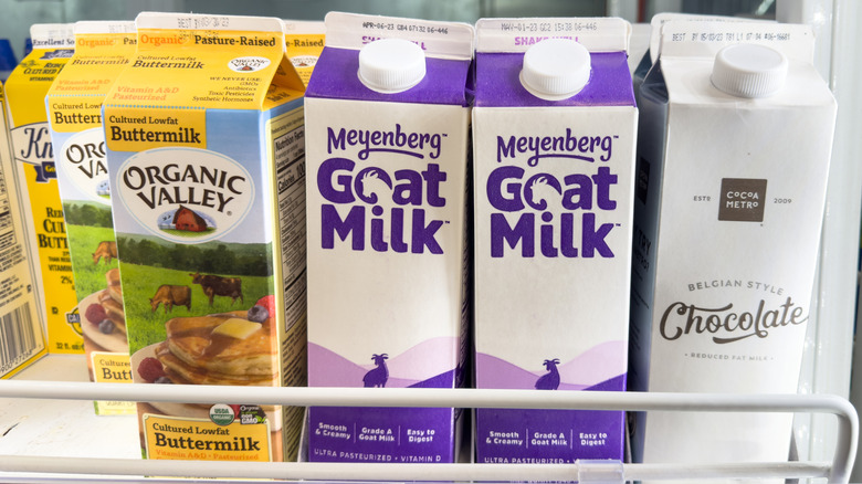 Cartons of goat milk next to other milks at supermarket