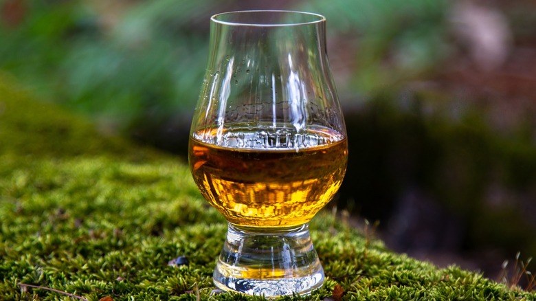 Scotch whisky in glass outdoors