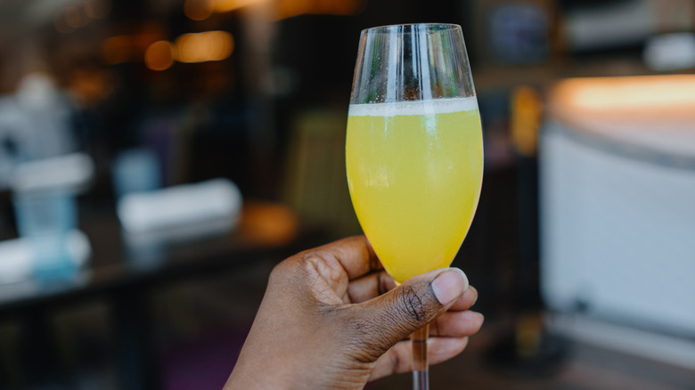 a person holding a mimosa