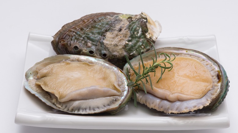 Three abalone in their shells