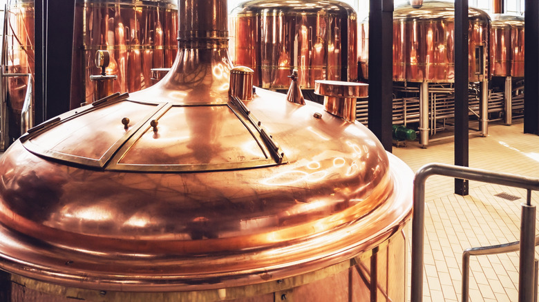 Fermentation tanks sitting in a brewery.