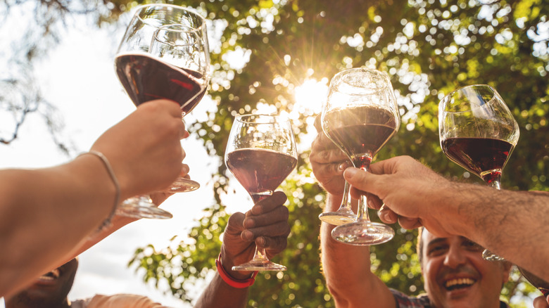 Five people toasting with red wine under a tree on a sunny day