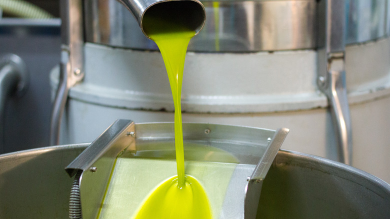 Freshly pressed olive oil in machinery