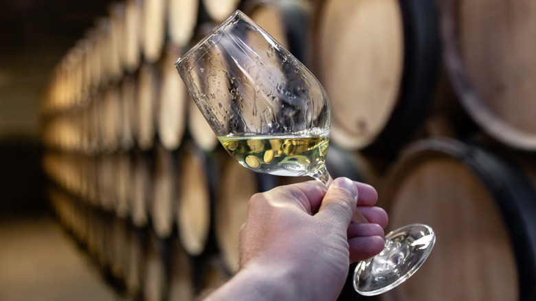 Testing Chardonnay from aging barrels