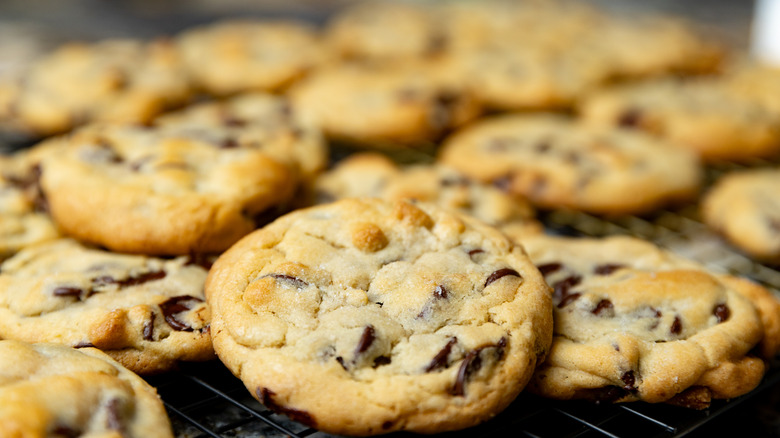 closeup of batch of chocolate chip cookies