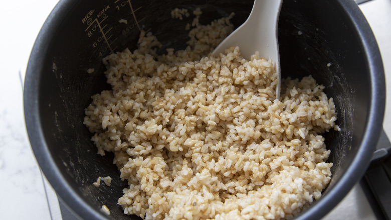 Cooked brown rice in a bowl with a rice paddle