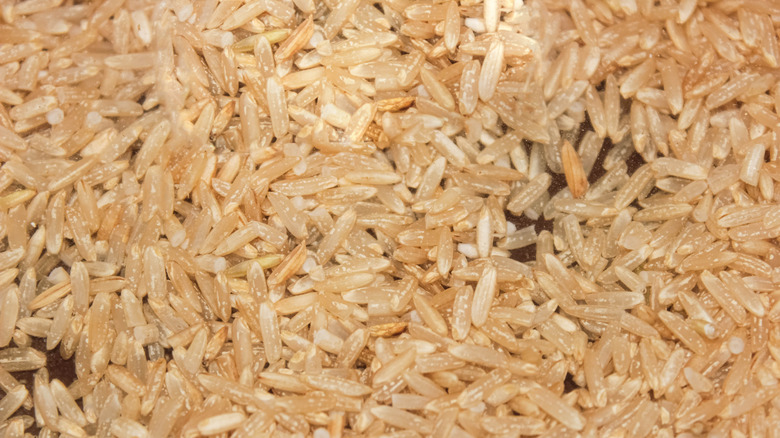 Close up of brown rice soaked in water