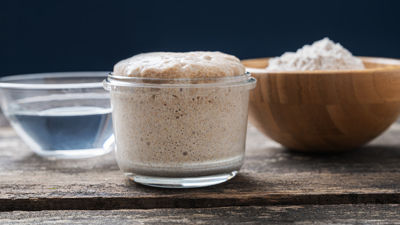 Sourdough starter feeding