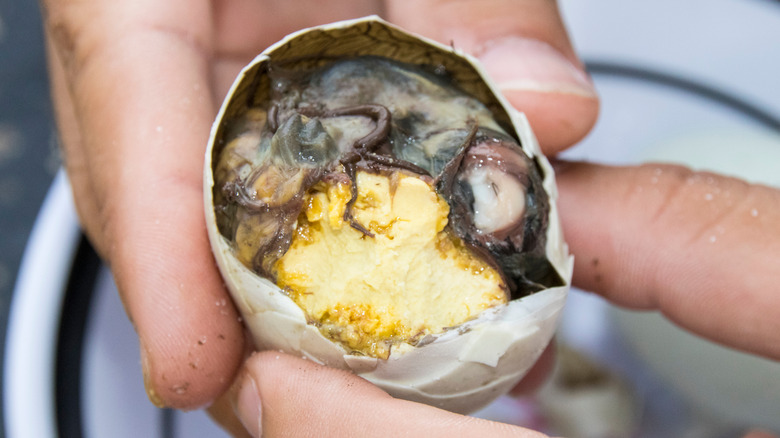 Person holding balut