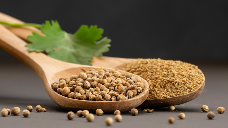 Wooden spoons with ground coriander and whole seeds