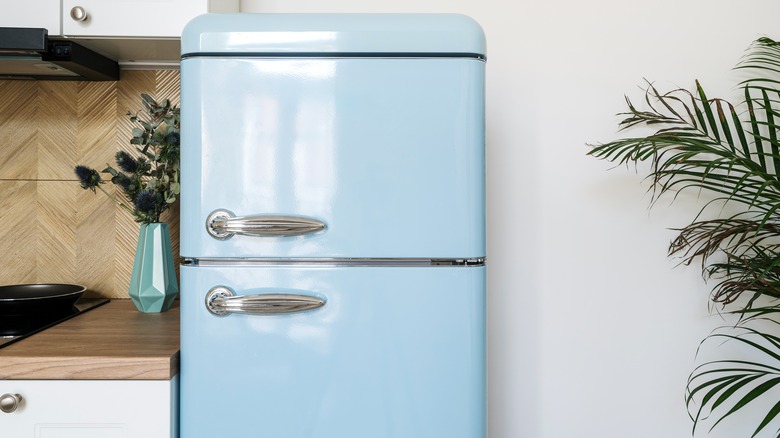 blue fridge in kitchen