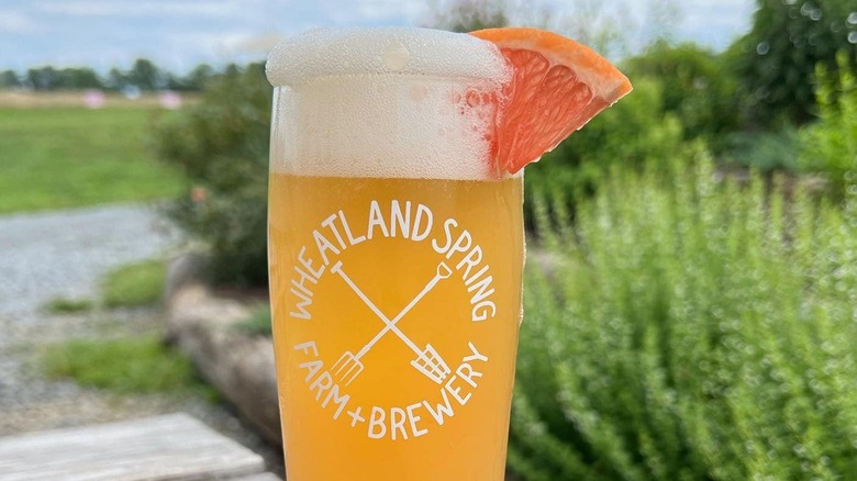 Pint of Wheatland Spring beer with grapefruit slice