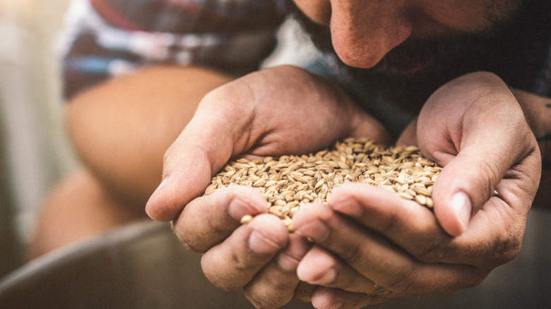 A farmer cupping grains in his hands