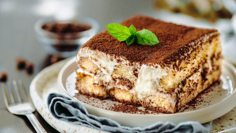 Serving of homemade tiramisu with fresh mint