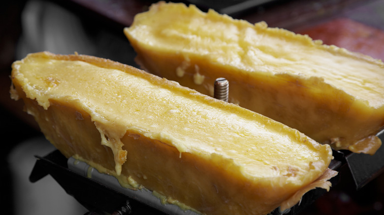 Half wheels of raclette cheese heated until just melting