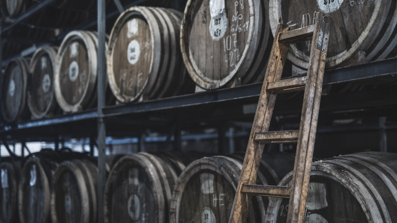 Rows of whiskey barrels and ladder