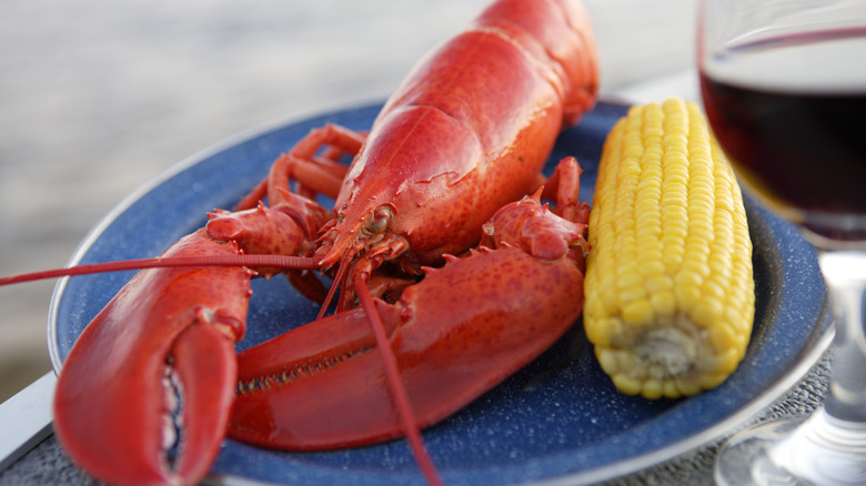 A cooked lobster next to corn on the cob