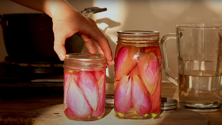 Jars of pickled magnolia petals