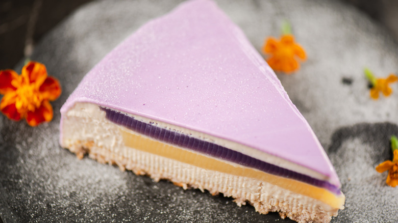 A slice of entremet cake with layers of different inserts