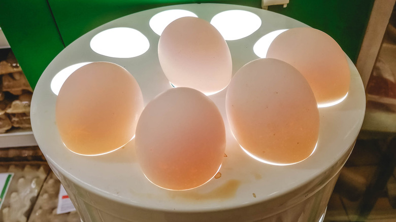 Five eggs being candled