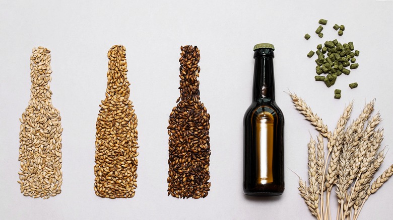 Ingredients for beer brewing laid out on a neutral background