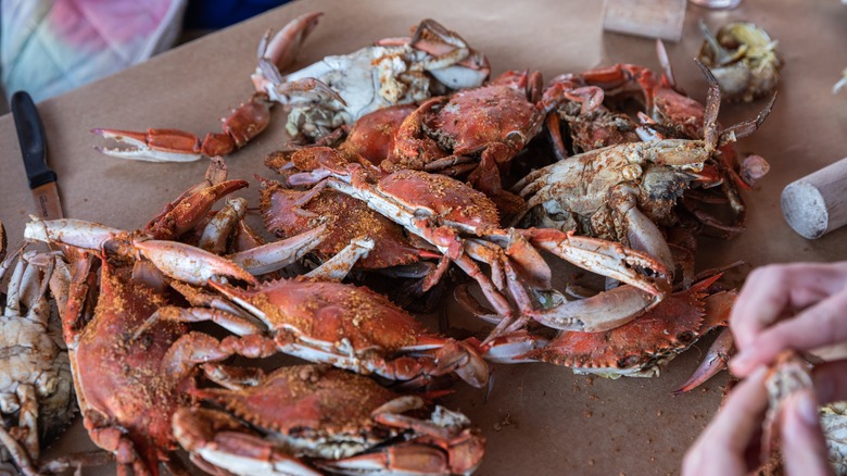 Maryland blue crabs on table