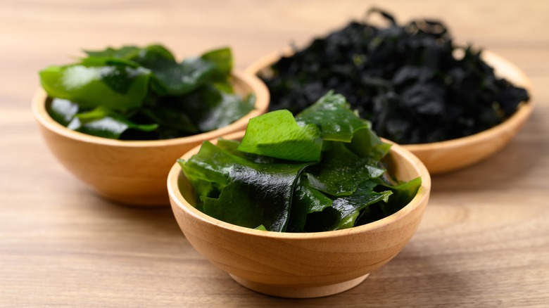 wakame in dried and fresh form