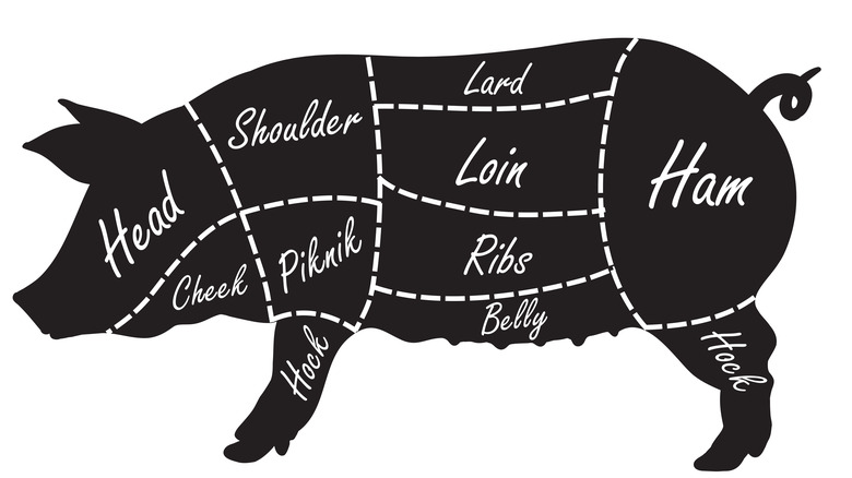 diagram of pork cuts 