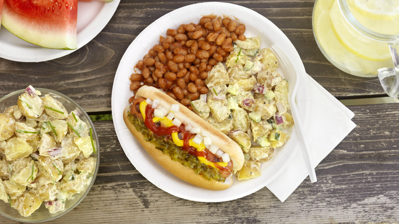 plate with hot dog, beans, potato salad