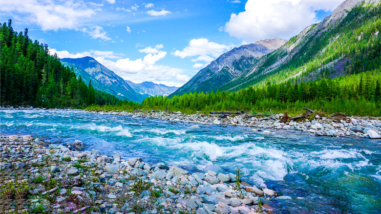 Clear stream water in Canada 