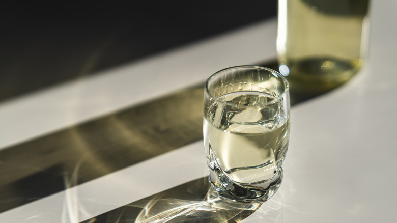 A small glass of vodka sits on a white surface, casting a long shadow