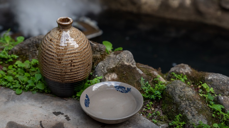 Fermentation jug and bowl of alcohol