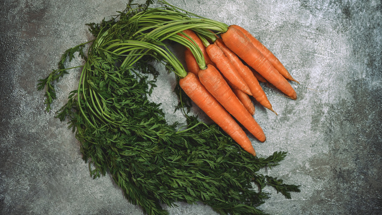 Bunch of carrots with stalks