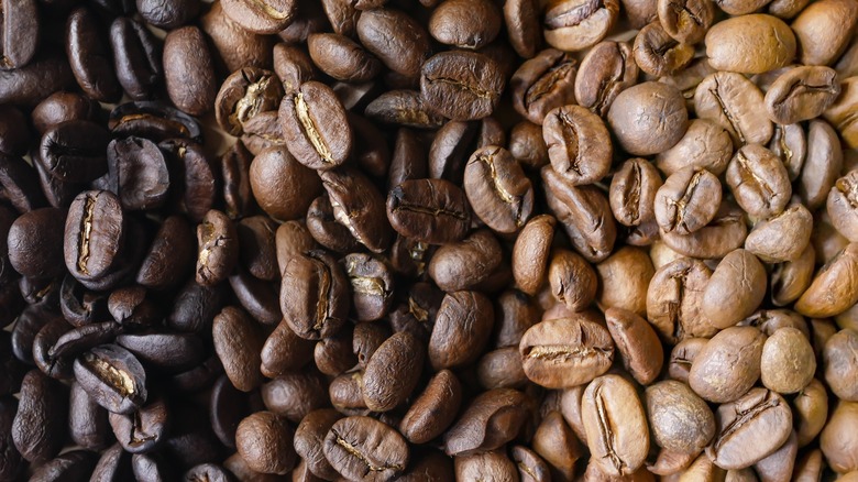 A close up image of 3 types of coffee beans, ranging from light to dark roasted mixed together