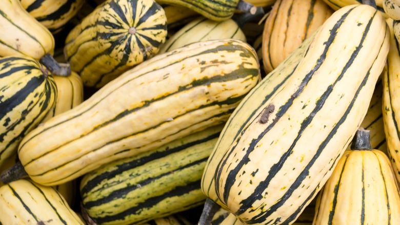 A pile of delicata squashes