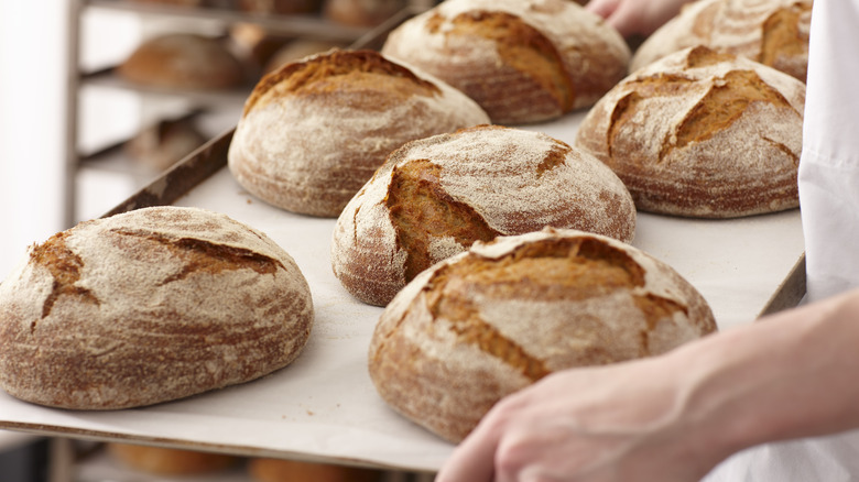 Freshly baked bread out of the oven